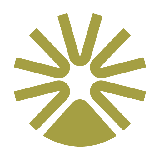 Raizul